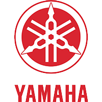 Yamaha YFM 350FX Wolverine motoronderdelen